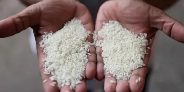 تصویر 4 از قیمت خرید برنج فجر نورآباد با فروش عمده